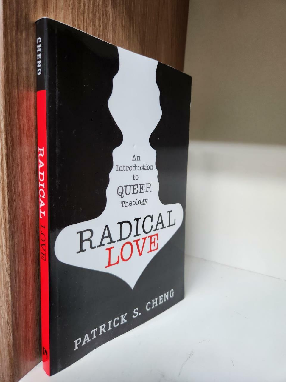 [중고] Radical Love: Introduction to Queer Theology (Paperback)