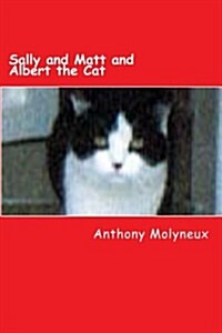 Sally and Matt and Albert the Cat: A Holiday to Remember (Paperback)