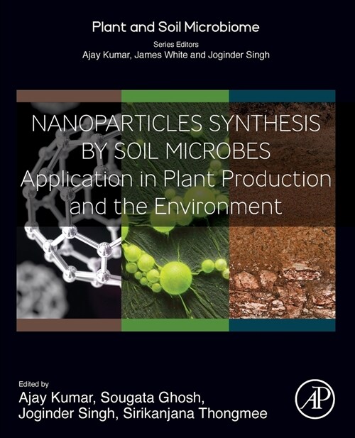 Nanoparticles Synthesis by Soil Microbes: Application in Plant Production and the Environment (Paperback)