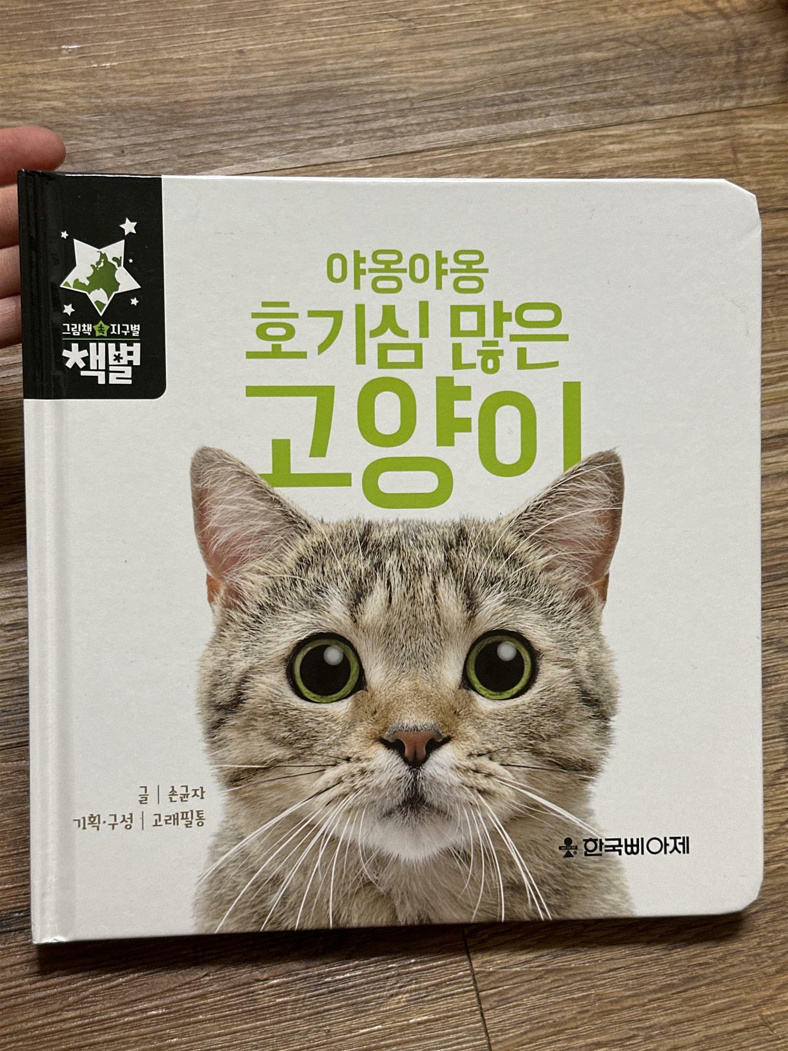 [중고] 야옹야옹 호기심 많은 고양이