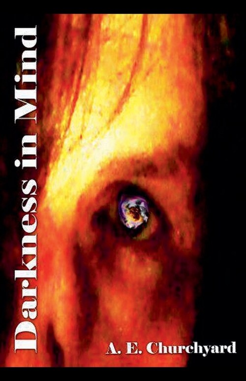 Darkness in Mind (Paperback)