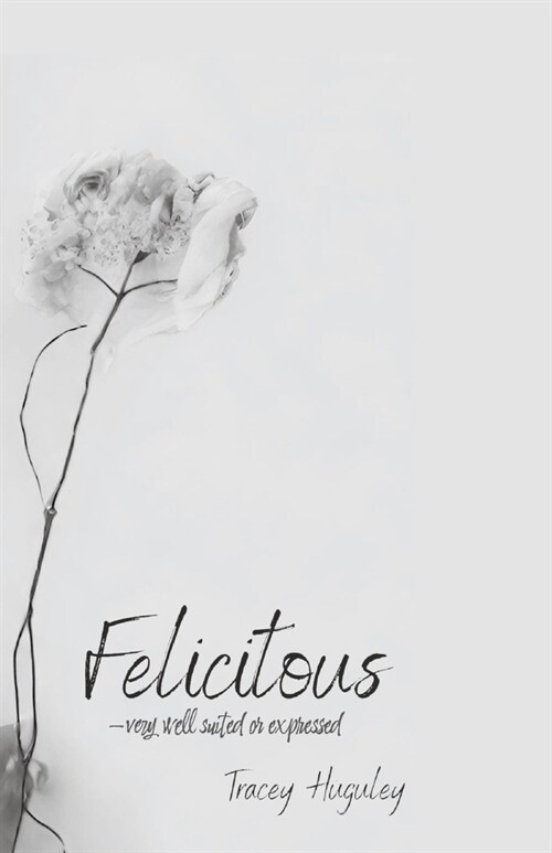 Felicitous (Paperback)