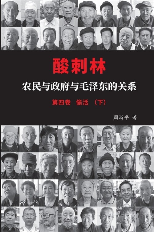 酸刺林：农民与政府与毛泽东的关系（四ࡘ (Paperback)