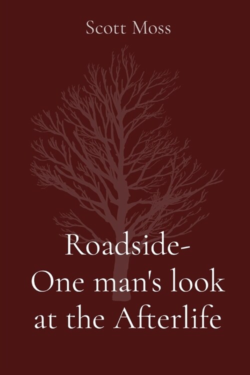 Roadside- One mans look at the Afterlife (Paperback)