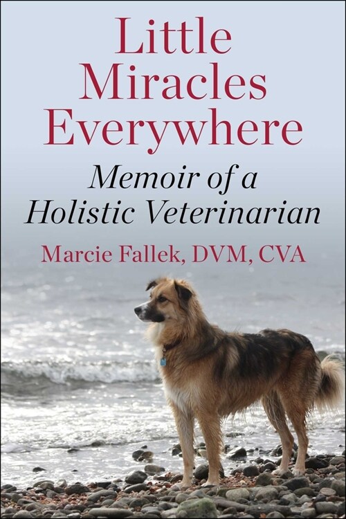 Little Miracles Everywhere: Memoir of a Holistic Veterinarian (Hardcover)