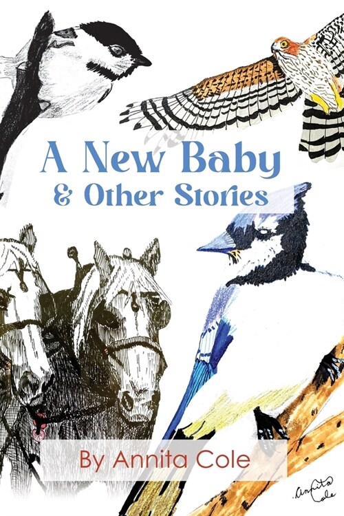 A New Baby & Other Stories (Paperback)