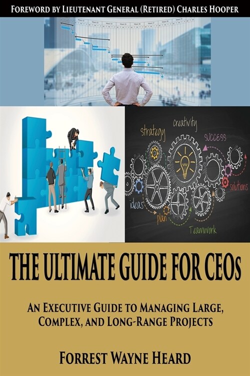 The Ultimate Guide for CEOs: An executive guide to managing large, complex and long-range projects (Paperback)