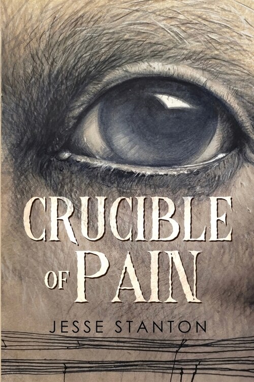 Crucible of Pain (Paperback)