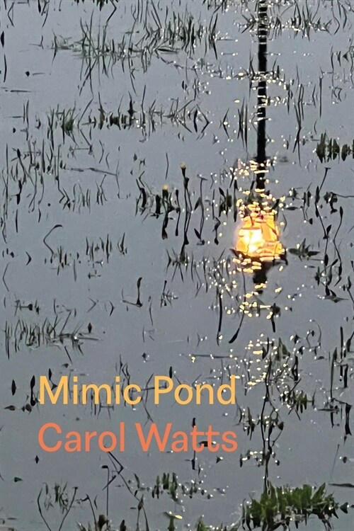 Mimic Pond (Paperback)