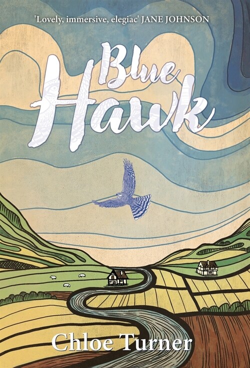 Blue Hawk (Hardcover)