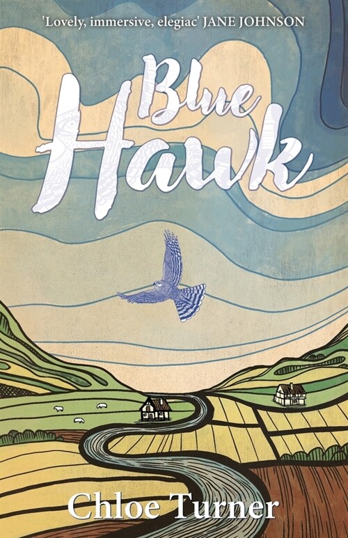 Blue Hawk (Paperback)