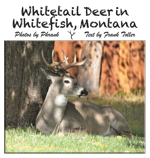 Whitetail Deer in Whitefish, Montana (Hardcover)