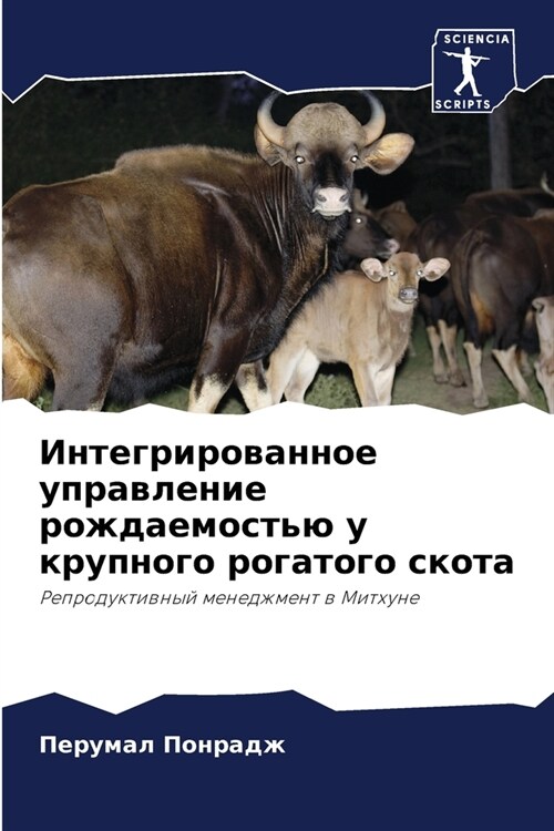 Интегрированное управл&# (Paperback)