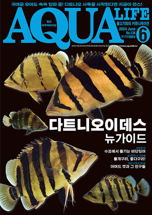 아쿠아 라이프 Aqua Life 2024.6