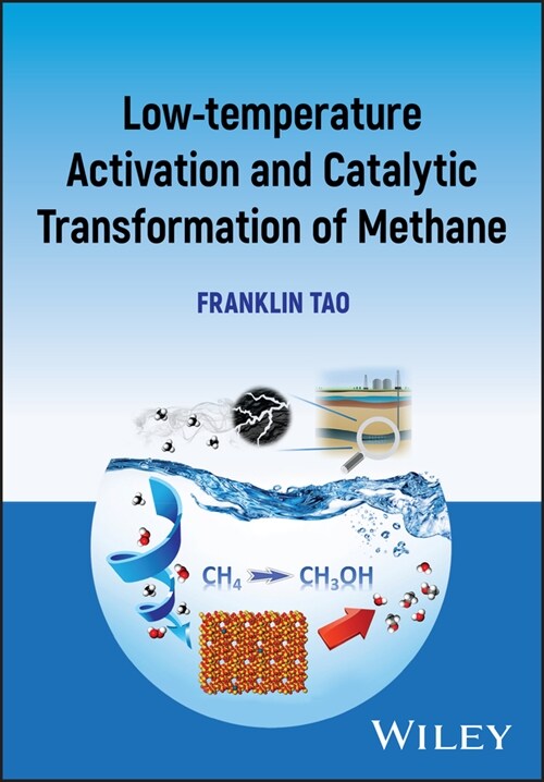 Low-Temperature Activation and Catalytic Transformation of Methane to Non-CO2 Products (Hardcover)