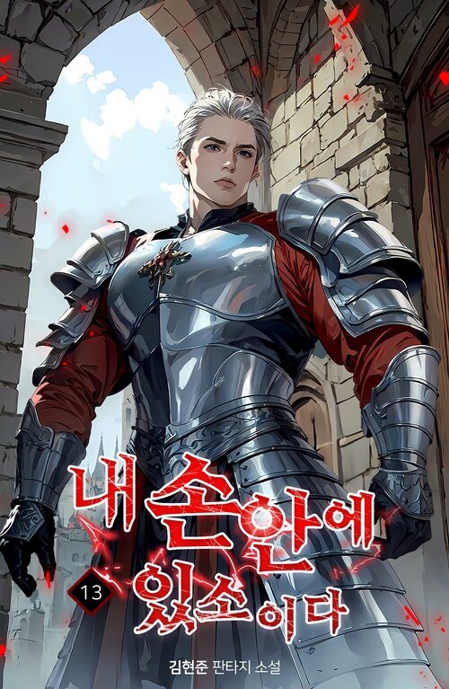 내 손안에 있소이다 13 커버