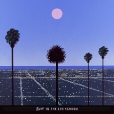 [수입] BARBER IN THE LIVINGROOM - Moon & Palms [LP 핑크 컬러 바이닐]