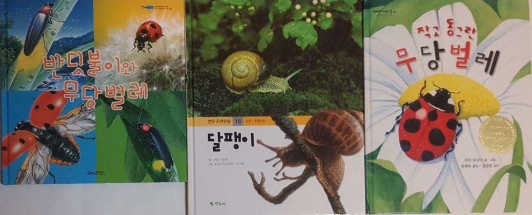[중고] 작고 동그란 무당벌레 + 반디불이와 무당벌레 + 달팽이