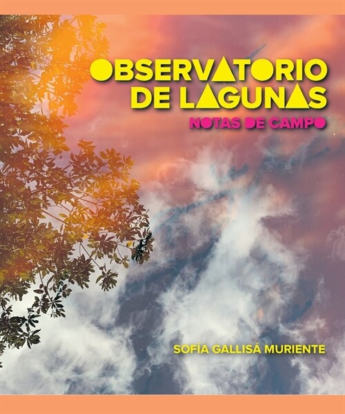 Observatorio de lagunas: notas de campo (Paperback)