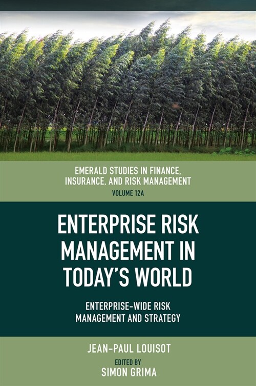 Enterprise Risk Management in Today’s World : Enterprise-Wide Risk Management and Strategy (Hardcover)