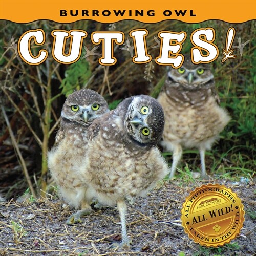 Burrowing Owl Cuties! (Board Books)