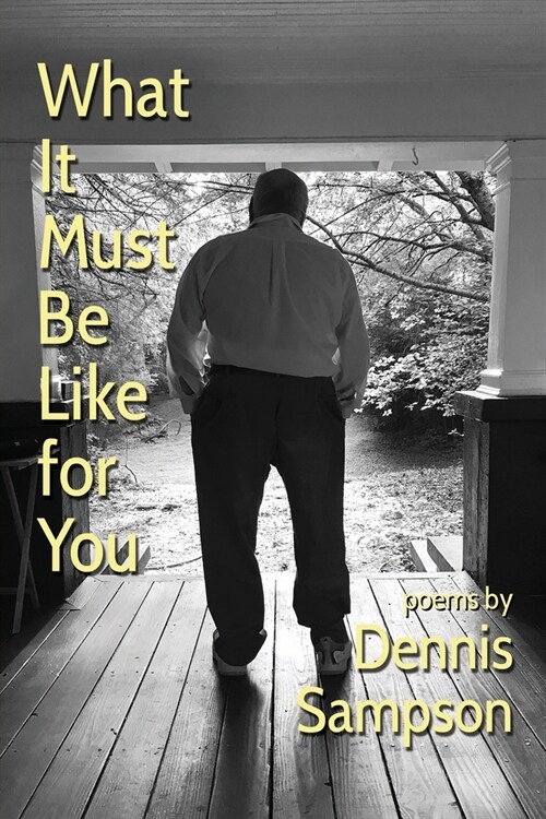 What It Must Be Like for You (Paperback)