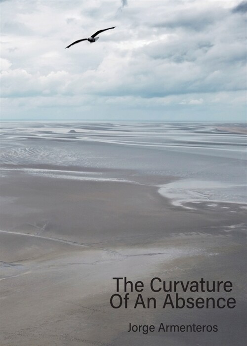 The Curvature of An Absence (Paperback)