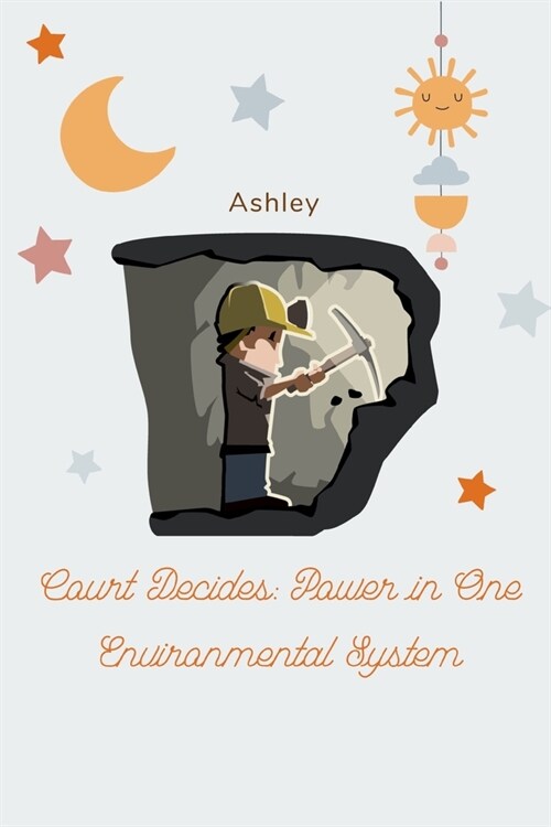 Court Decides: Power in One Environmental System (Paperback)