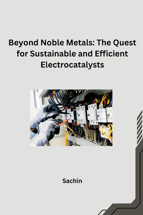 Beyond Noble Metals: The Quest for Sustainable and Efficient Electrocatalysts (Paperback)