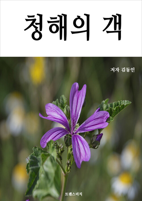 청해의 객