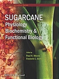 Sugarcane: Physiology, Biochemistry and Functional Biology (Hardcover)