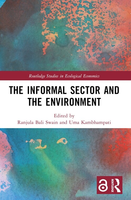 The Informal Sector and the Environment (Paperback, 1)