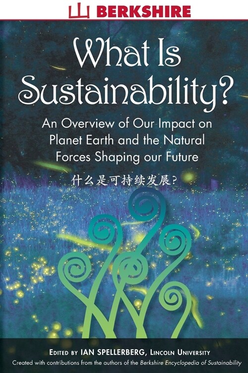 What Is Sustainability?: An Overview of Our Impact on Planet Earth and the Natural Forces Shaping Our Future (Paperback)