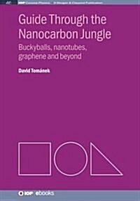 Guide Through the Nanocarbon Jungle: Buckyballs, Nanotubes, Graphene, and Beyond (Paperback)