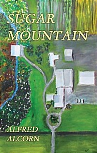 Sugar Mountain (Paperback)
