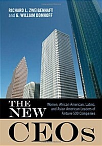 The New Ceos: Women, African American, Latino, and Asian American Leaders of Fortune 500 Companies (Paperback)