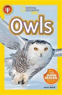 Owls (Paperback) - Owls