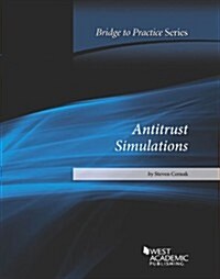 Antitrust Simulations (Paperback)