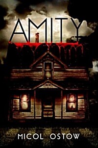 Amity (Hardcover)