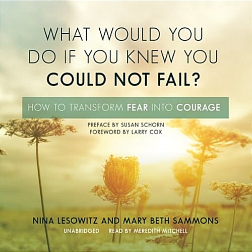 What Would You Do If You Knew You Could Not Fail?: How to Transform Fear Into Courage (MP3 CD)