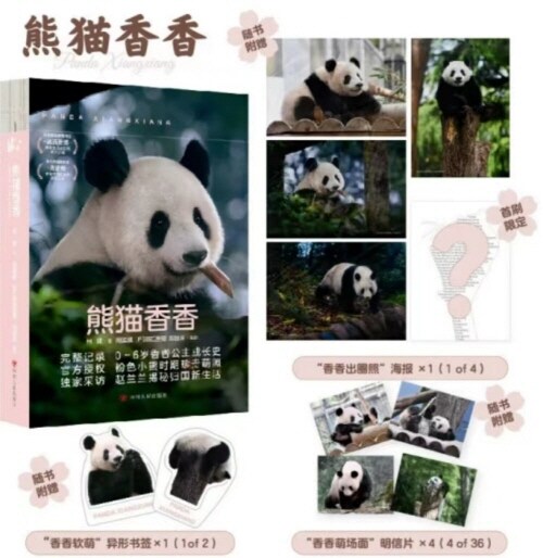 熊猫香香 판다향향