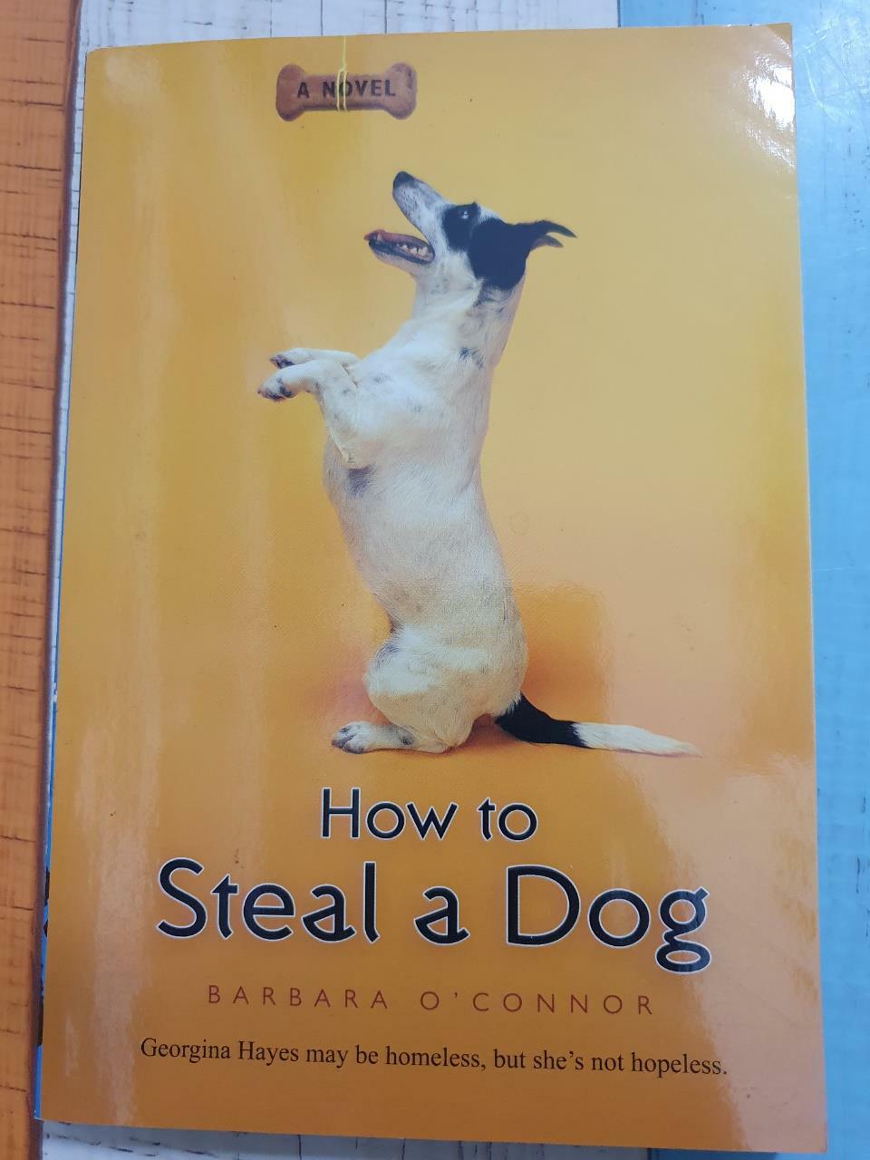 [중고] How to Steal a Dog (Paperback, 미국판)