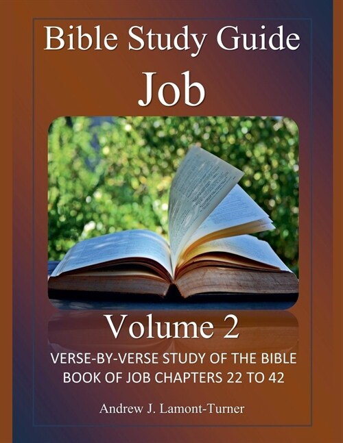 Bible Study Guide: Job Volume 2 (Paperback)