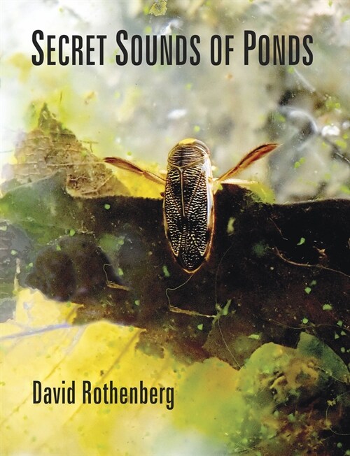 Secret Sounds of Ponds (Paperback)