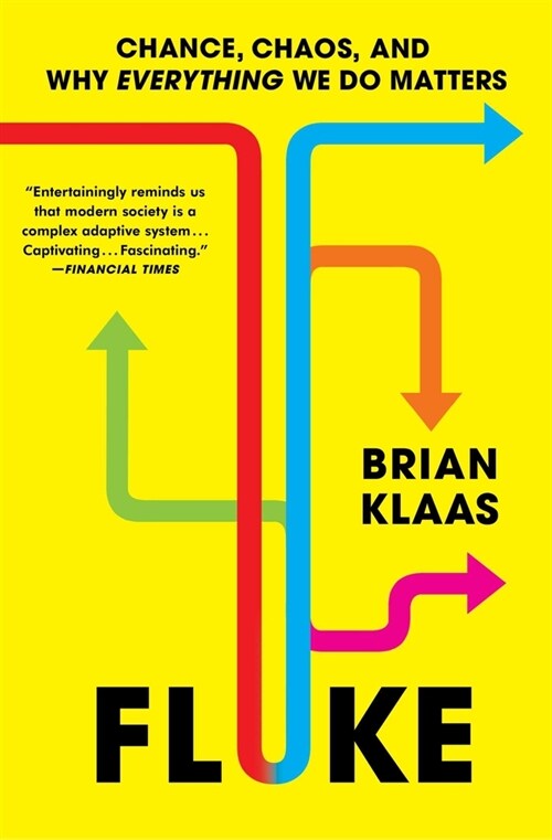 Fluke: Chance, Chaos, and Why Everything We Do Matters (Paperback)