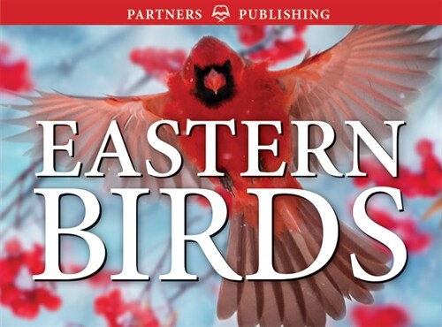 Eastern Birds: Pocket Guide (Paperback)