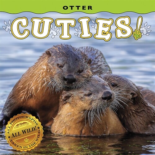 Otter Cuties! (Board Books)