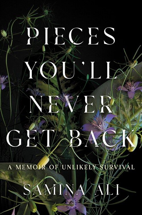 Pieces Youll Never Get Back: A Memoir of Unlikely Survival (Hardcover)