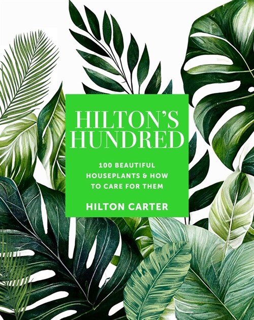 Hiltons Hundred (Hardcover)