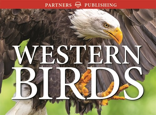 Western Birds: Pocket Guide (Paperback)